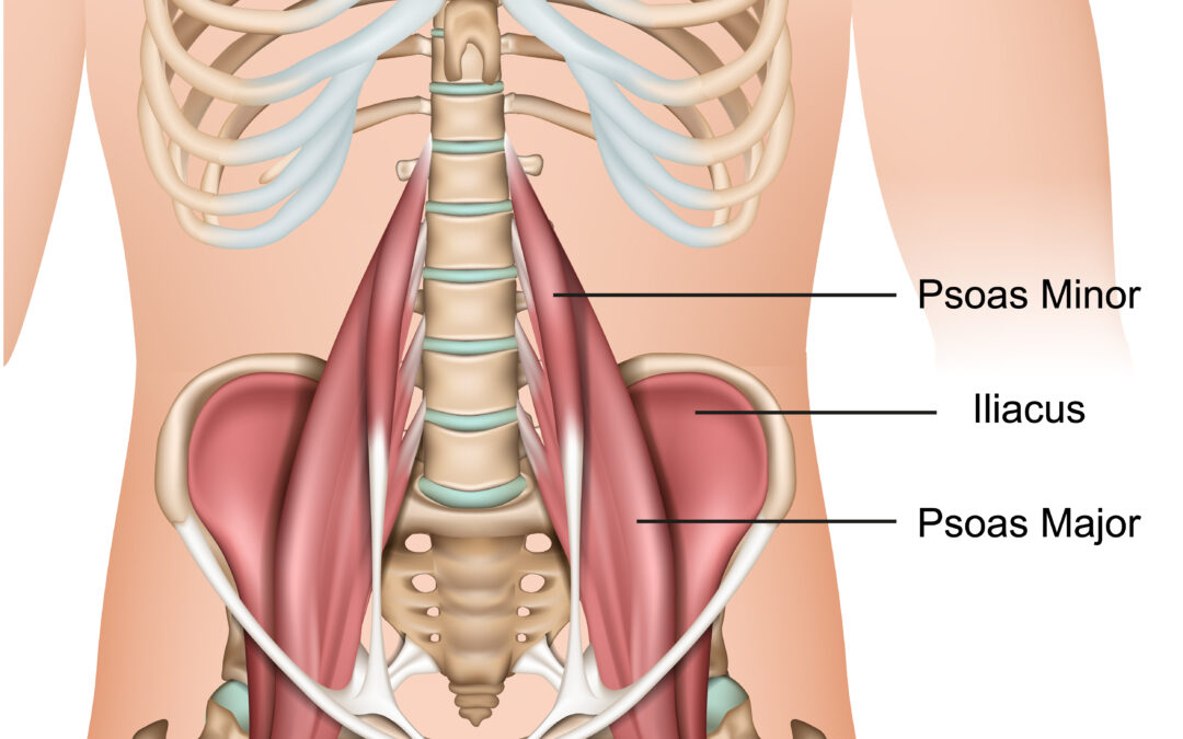 release psoas muscle